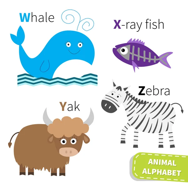 Carta W X Y Z alfabeto zoológico —  Vetores de Stock