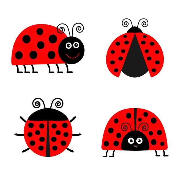 Coccinelles Ensemble d'icônes coccinelles — Image vectorielle