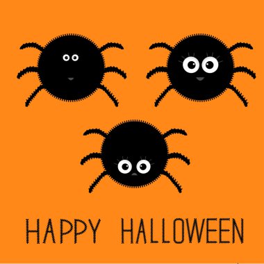 Şirin tüylü örümcekler