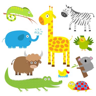 Renkli sevimli hayvanlar seti