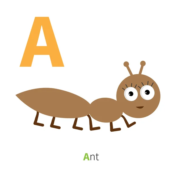 Letra Um alfabeto de jardim zoológico de insetos formiga — Vetor de Stock