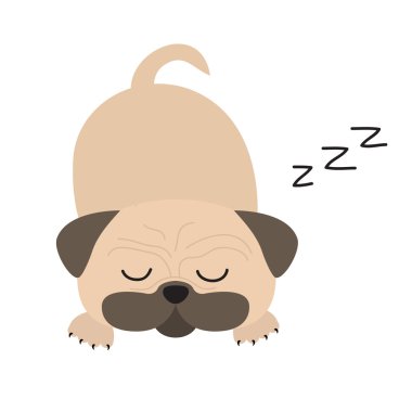 Uyku köpek pug mops