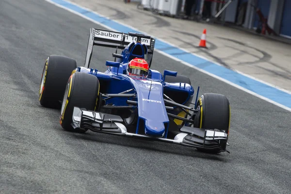 Formula 1: Felipe Nas — Stok fotoğraf