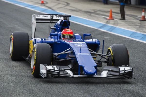 Formula 1: Felipe Nas — Stok Foto