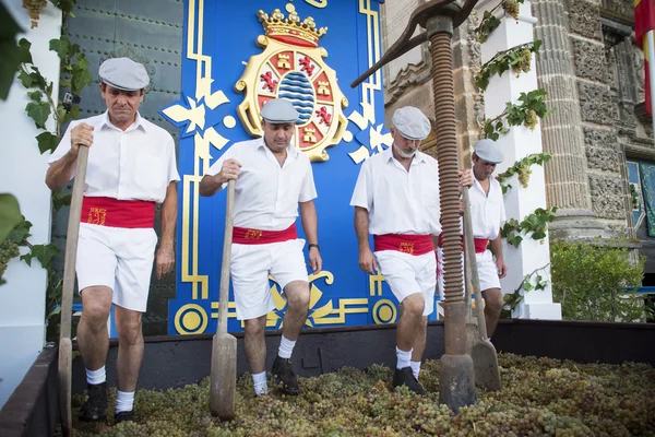 Traditionella grape stomp i sherry — Stockfoto