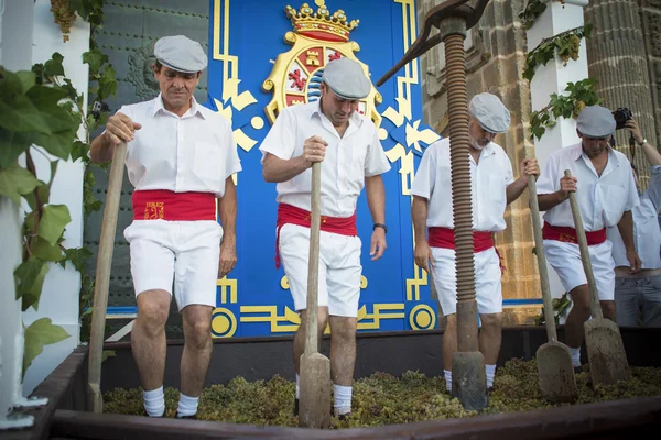 Traditionelles Traubenstampfen in Sherry — Stockfoto