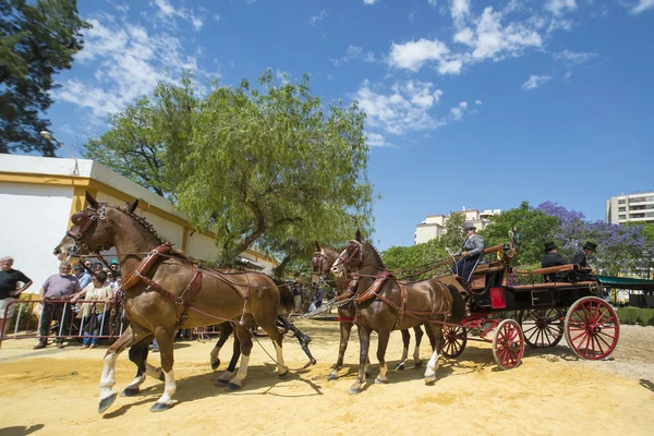 Personas montadas en un carro de caballos . —  Fotos de Stock