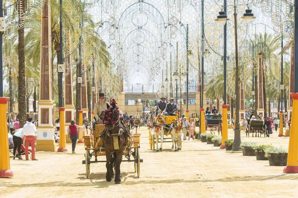 People mounted on a carriage horse. — Stock Photo, Image