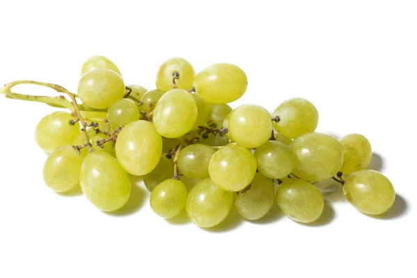 Raisins blancs sur fond blanc — Photo