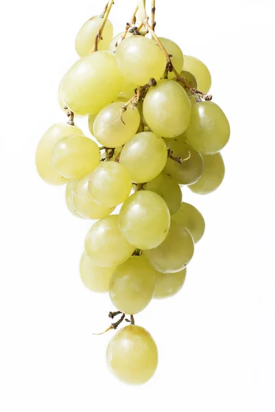 Uvas blancas sobre fondo blanco — Foto de Stock