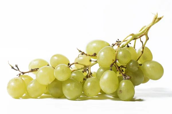 Uvas blancas sobre fondo blanco — Foto de Stock