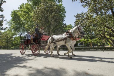 At arabası Seville sürme turist