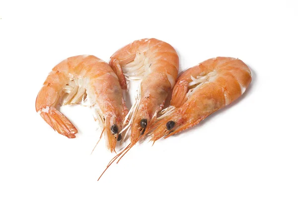 Crevettes cuites sur fond blanc — Photo