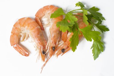 Beyaz arka planda pişmiş karidesler