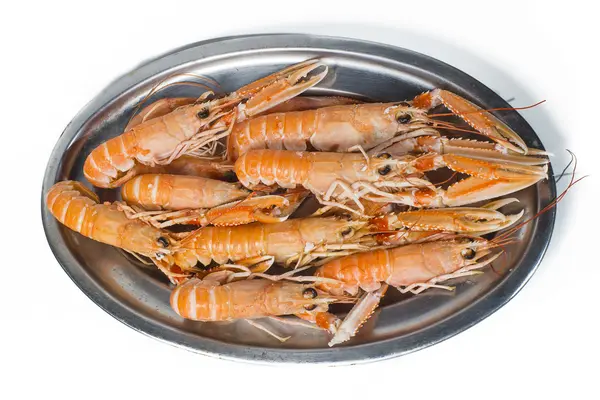 Lobster Norwegia dengan latar belakang putih — Stok Foto