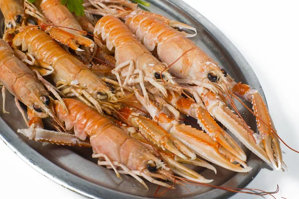 Lobster Norwegia dengan latar belakang putih — Stok Foto