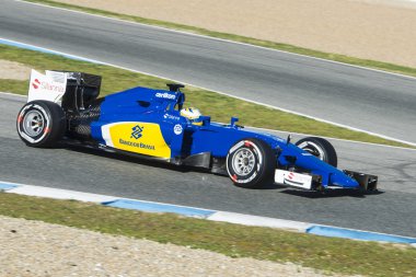 Formül 1 2015: Marcus Ericsson