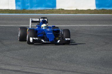 Formül 1 2015: Marcus Ericsson