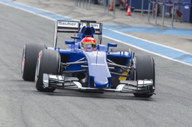 Formula 1: Felipe Nasr