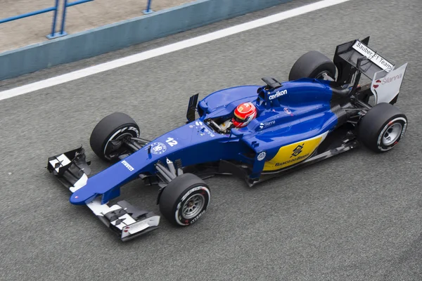 Fórmula 1: Felipe Nasr — Fotografia de Stock