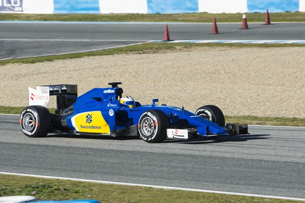 Formül 1 2015: Marcus Ericsson — Stok fotoğraf