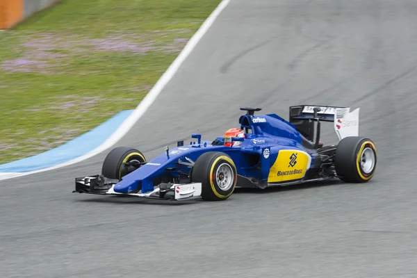 Formula 1: Felipe Nasr — Stock Photo, Image