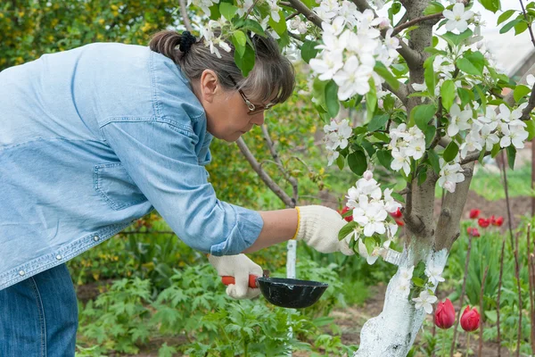 Woman working in her garden — Stock Photo, Image