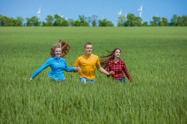 Yeşil buğday sahada çalışan genç happy Friends