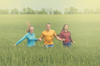 Yeşil buğday sahada çalışan genç happy Friends