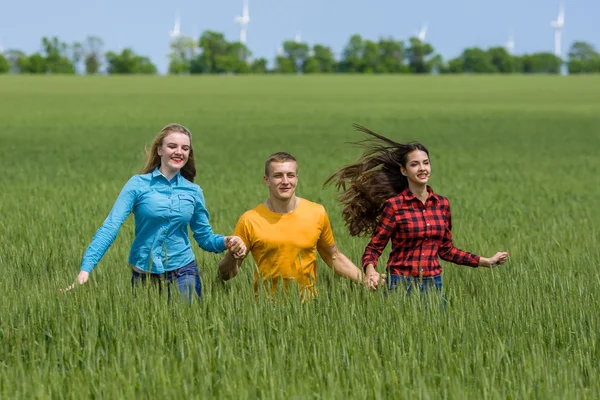 Yeşil buğday sahada çalışan genç happy Friends