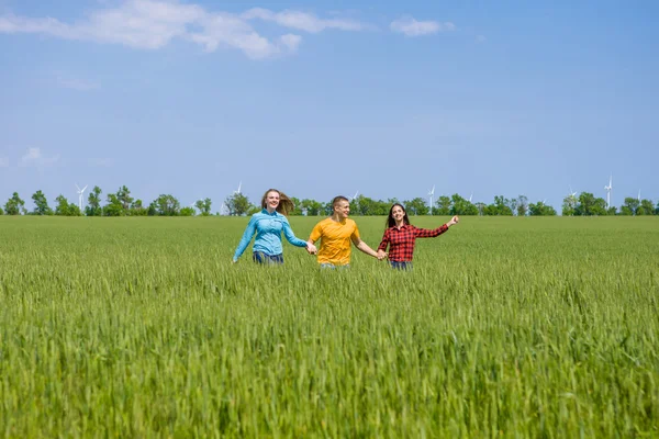 Молоді щасливі друзі працюють на полі зеленої пшениці — стокове фото