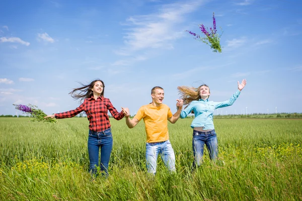 Jonge happy vrienden uitgevoerd op groene tarweveld — Stockfoto