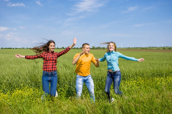 Jonge happy vrienden uitgevoerd op groene tarweveld — Stockfoto