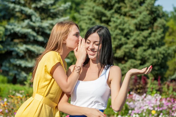 Vriendelijke talk — Stockfoto