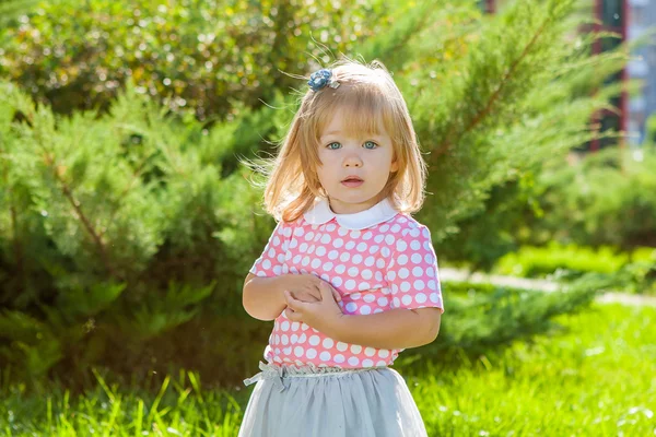 Portrait of a little girl — Stock Photo, Image