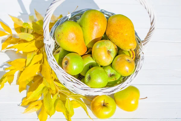 Äpfel im Korb — Stockfoto