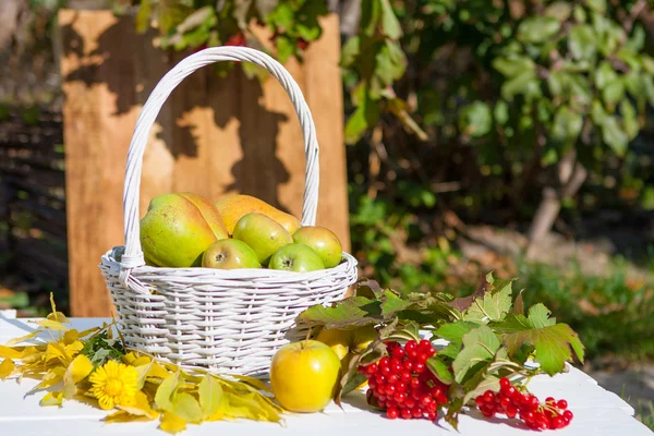 Manzanas en cesta —  Fotos de Stock