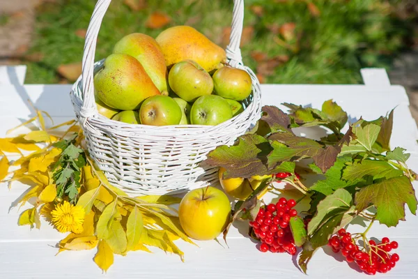 Manzanas en cesta —  Fotos de Stock