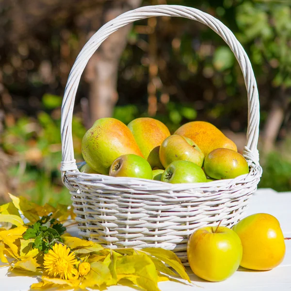 Äpfel im Korb — Stockfoto