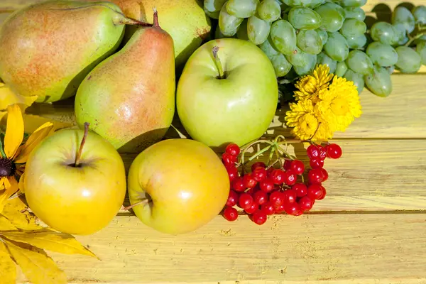 Äpfel, Trauben, Birnen und rotes Viburnum — Stockfoto