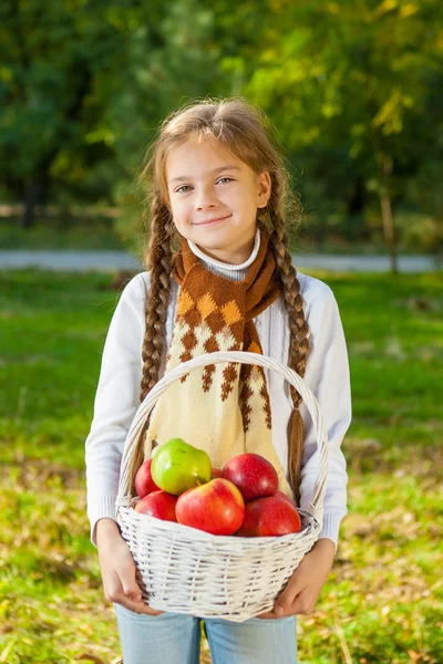 Niña sosteniendo una cesta de manzanas — Foto de Stock