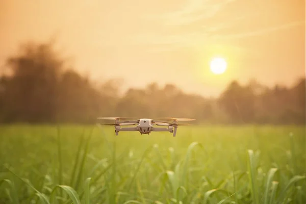 Drone Voando Sobre Terras Agrícolas Com Fundo Por Sol Imagem De Stock