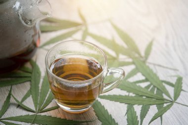 Esrar yaprağı çay ya da marihuana çayı 