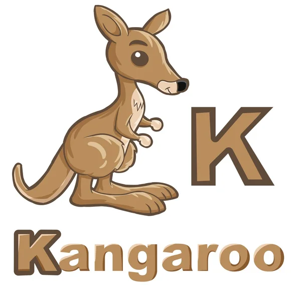 Kangaroo lära sig alfabetet — Stockfoto