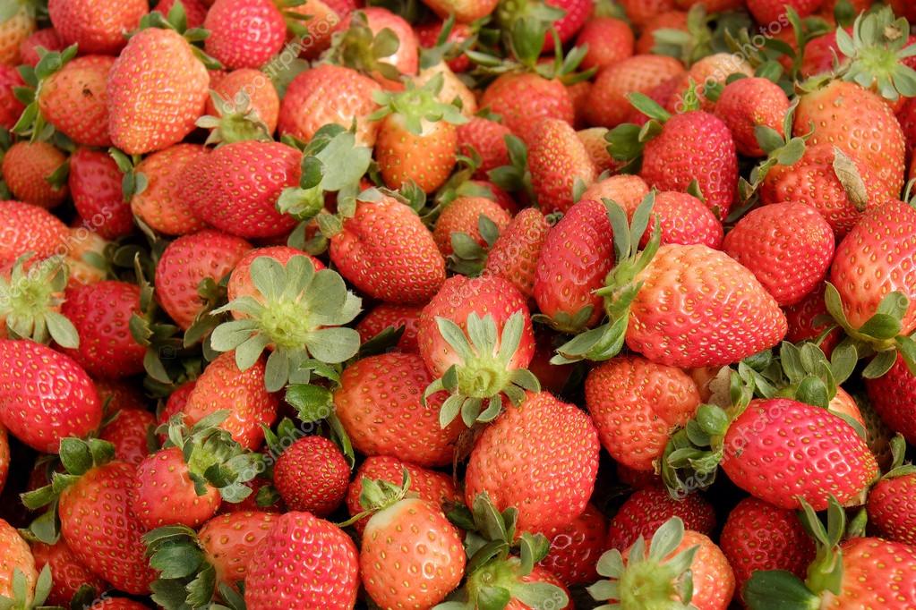 Strawberry,Da Lat, dalat, fruit, agriculture Stock Photo by