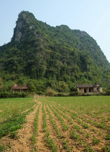 Будинок, Гора, Куанг Binh, В'єтнаму, В'єтнам — стокове фото