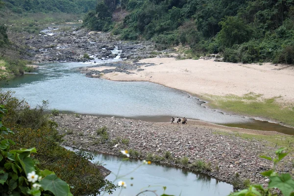 Ho Chi Minh trilha, floresta, montanha, terreno — Fotografia de Stock