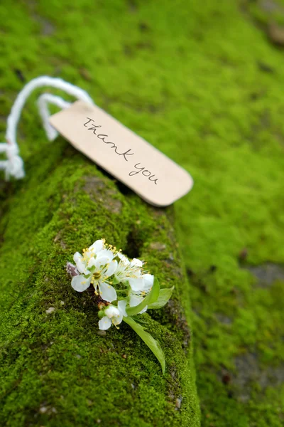 Gracias fondo, flor blanca — Foto de Stock