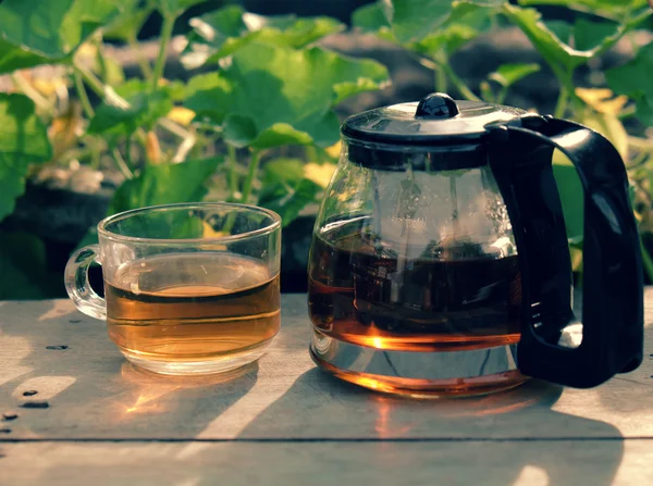 Наслаждайтесь чаепитием в саду — стоковое фото