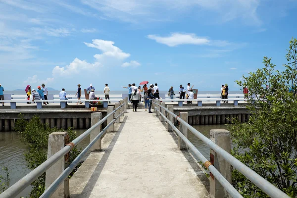 Turista viajando Dat Mui, Ca Mau — Fotografia de Stock